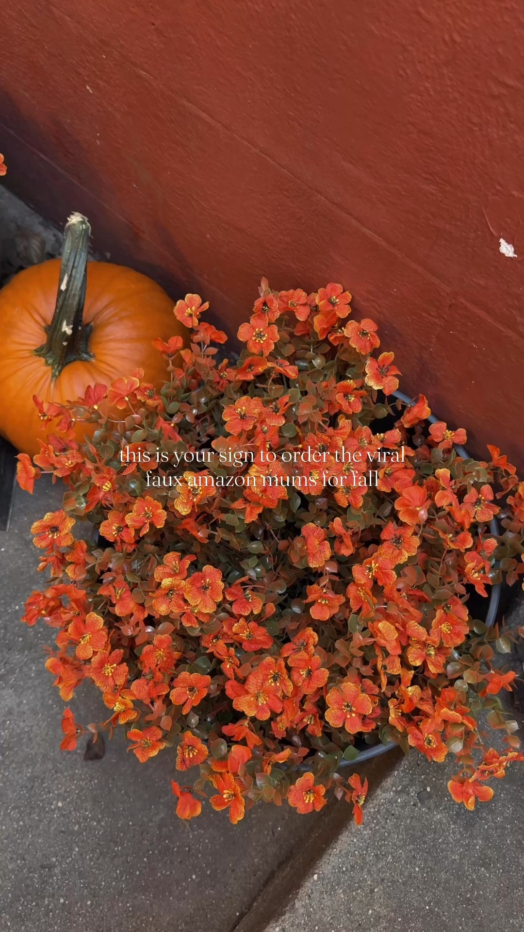 Fall porch decor from amazon, amazon faux mums 

#LTKSeasonal #LTKHome #LTKFindsUnder50