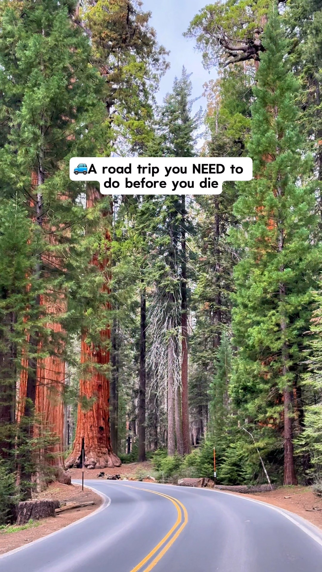 Steal our perfect California National Park road trip itinerary!👇🏼

💜Follow @KatieOSheaAway for all the specific details you need to plan your dream trips!

📍Sequoia National Park, California WOW - the size of these trees is hard to describe - and photos and videos don’t do it justice!

Home to the world’s largest tree - General Sherman! 🌲 Wander among giants on the Congress Trail and don’t miss the famous photo-op at Tunnel Log. You can also climb the 350+ stairs up Moro Rock for panoramic views that are next level at sunset!

🌲 Top Things to Know: – Must-See: General Sherman Tree, Congress Trail, Tunnel Log, Moro Rock – Packing Tips: Bring layers - temps drop fast in the shade and elevation. – Entrance Fee: Use your America the Beautiful National Parks Pass to save!

📍Kings Canyon National Park Way less crowded but equally stunning. Think dramatic canyon views, alpine lakes, and peaceful trails. Drive the Kings Canyon Scenic Byway and hike Zumwalt Meadow or Mist Falls. It’s often overlooked - which means you get those epic views to yourself 👏

📍Yosemite National Park One of the most iconic parks in the world - famous for massive granite cliffs, waterfalls, and giant sequoias. We already want to visit again!

🌲 Top Things to Know:
-Must-See: Tunnel View, Yosemite Falls, Half Dome
-🥾Hike Taft Point at sunset for beautiful views
-Visit in late spring for peak waterfalls, or fall for fewer crowds
-🚙 Parking fills early- arrive before 9am if you can!

💬 Comment “HIKE” for our Free Hiking & Adventure Essentials Checklist + Gear Guide, which includes our fave gear for this trip! 🥾

📌Save this for your California adventure and SHARE with your outdoorsy adventure bestie 🌄

🤔 Which of these parks is on your bucket list?👇🏼

💬 Comment “SHOP” to shop this video!

💜Follow @KatieOSheaAway to turn your bucket list into reality!

#roadtrip #sequoiapark #kingscanyon #yosemite #nationalparkroadtrip #nationalparks #californiatravel #usatravel #epicroadtrip #adventuretravel #travelcouple national park outfit 

#LTKActive #LTKTravel #LTKMidsize