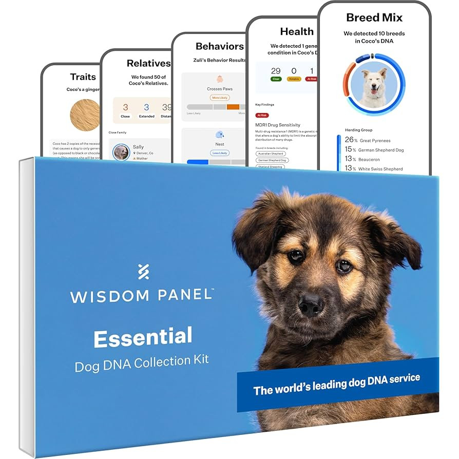 Wisdom Panel Essential Dog DNA Kit: Most Accurate Test for 365+ Breeds, 30 Genetic Health Conditi... | Amazon (US)