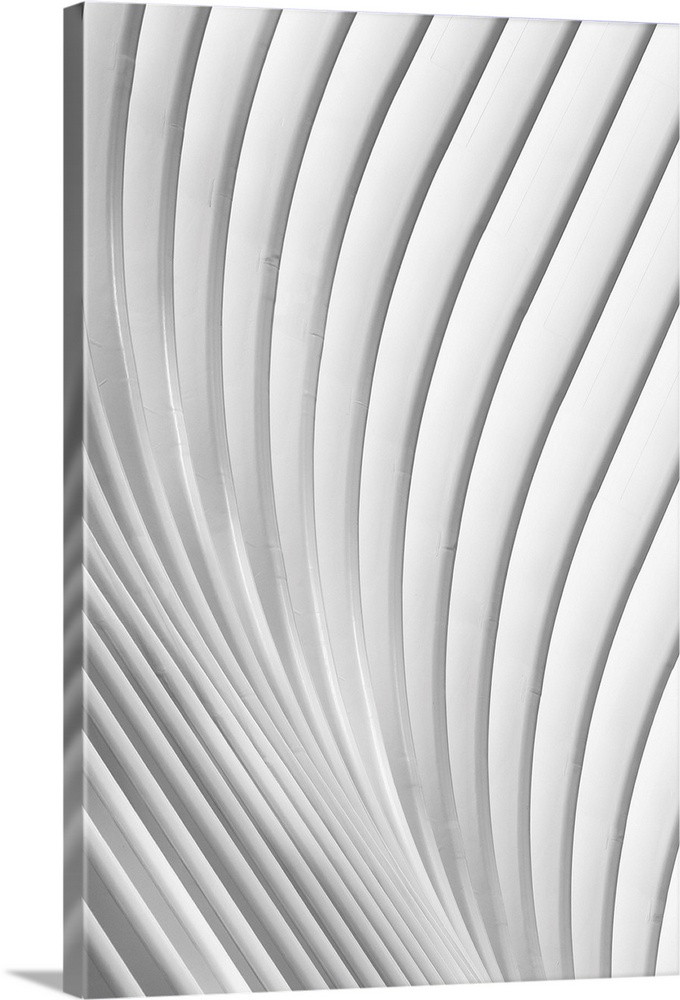 Calatrava Lines Wall Art | Great Big Canvas - Dynamic
