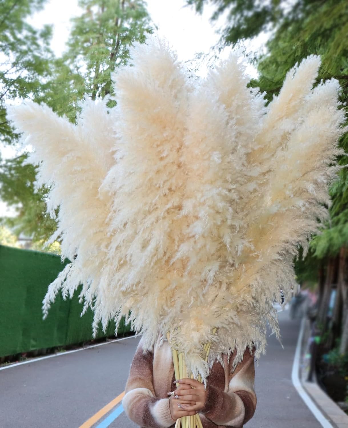 15Pcs 40 Inch Dried Pampas Grass Fluffy Stem Home Wedding Decor | Amazon (US)