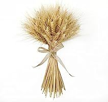 BELLAUSA 13" Length Natural Dried Wheat Sheaves, Wheat Bouquet,Wheat Stalk,Standing Bouquet NaturalB | Amazon (US)