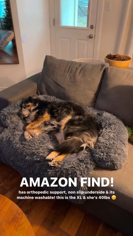 Amazon dog couch cover 

#LTKGiftGuide #LTKhome