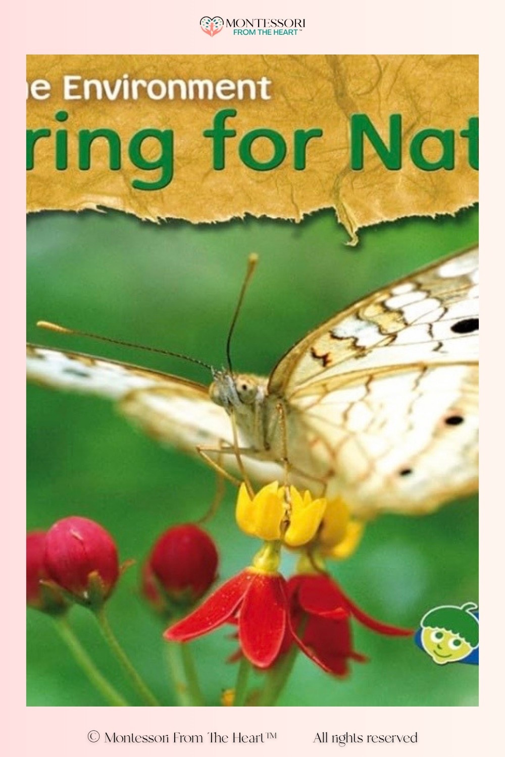 Caring for Nature ~ Book for Kids 

#LTKKids #LTKHome #LTKstorytime