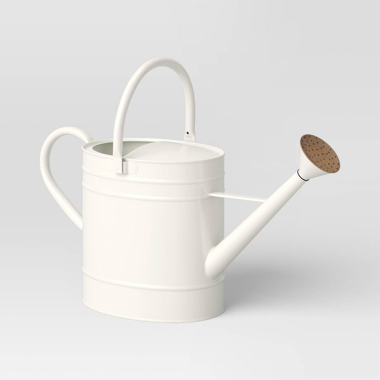 2gal Metal Watering Can Cream - Smith & Hawken™ | Target