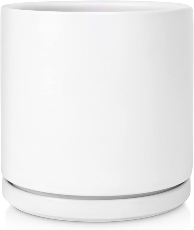 Kazeila Plant Pots Ceramic Planter for Indoor Outdoor Plants Flowers 8 Inch Matte White Midium Cy... | Amazon (US)
