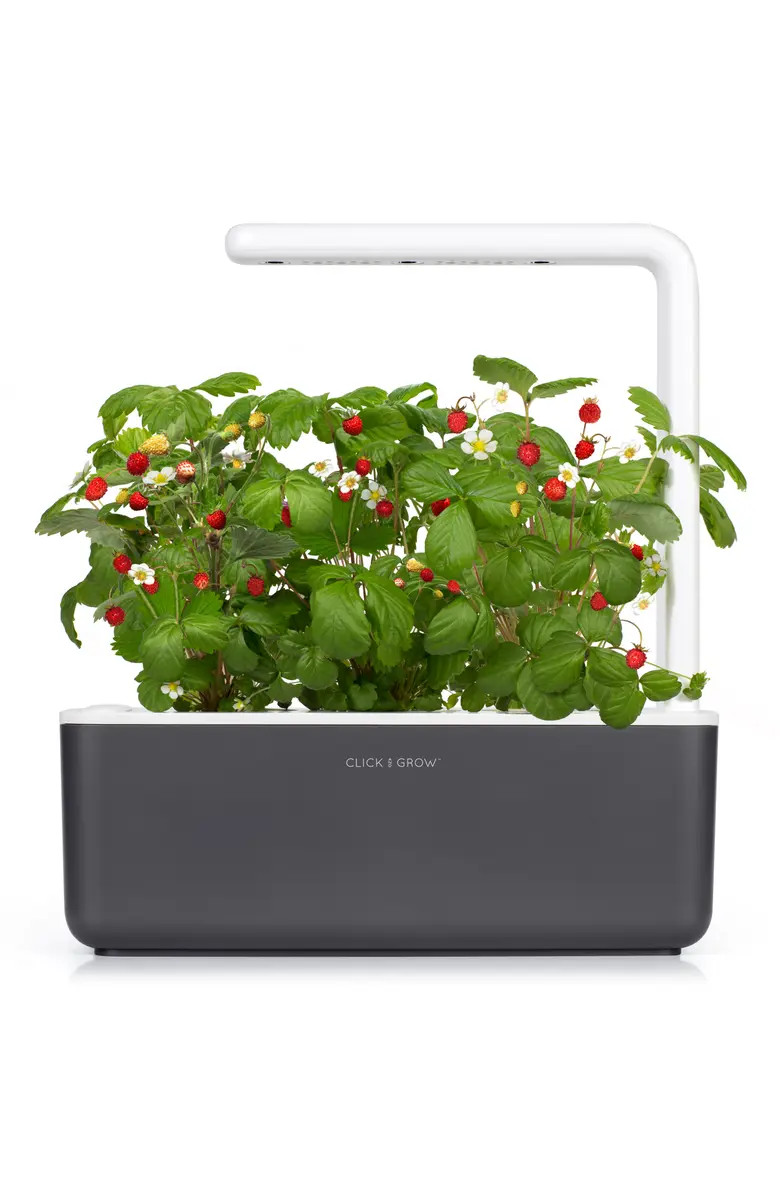 Smart Garden 3 Self Watering Indoor Garden | Nordstrom