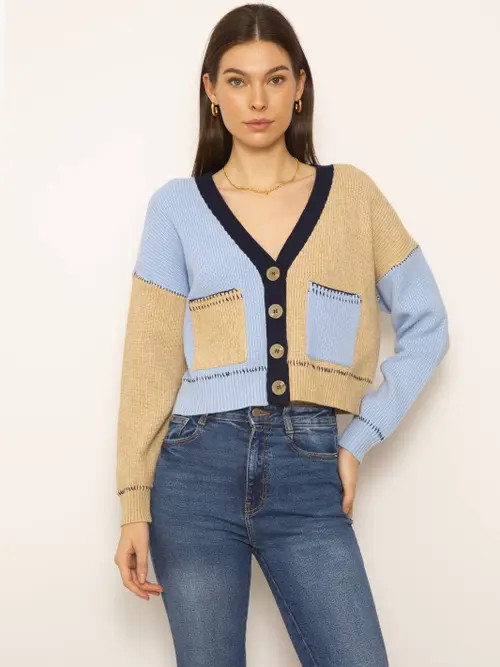 Central Park West Casey Colorblock Cardigan in Blue Multi at Nordstrom, Size Large | Nordstrom