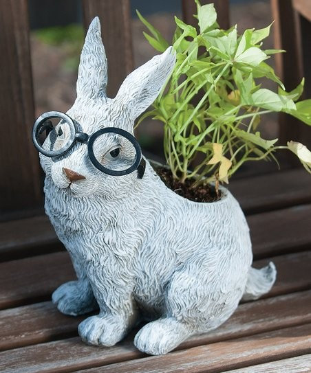 Roman Rabbit in Glasses Planter | Zulily