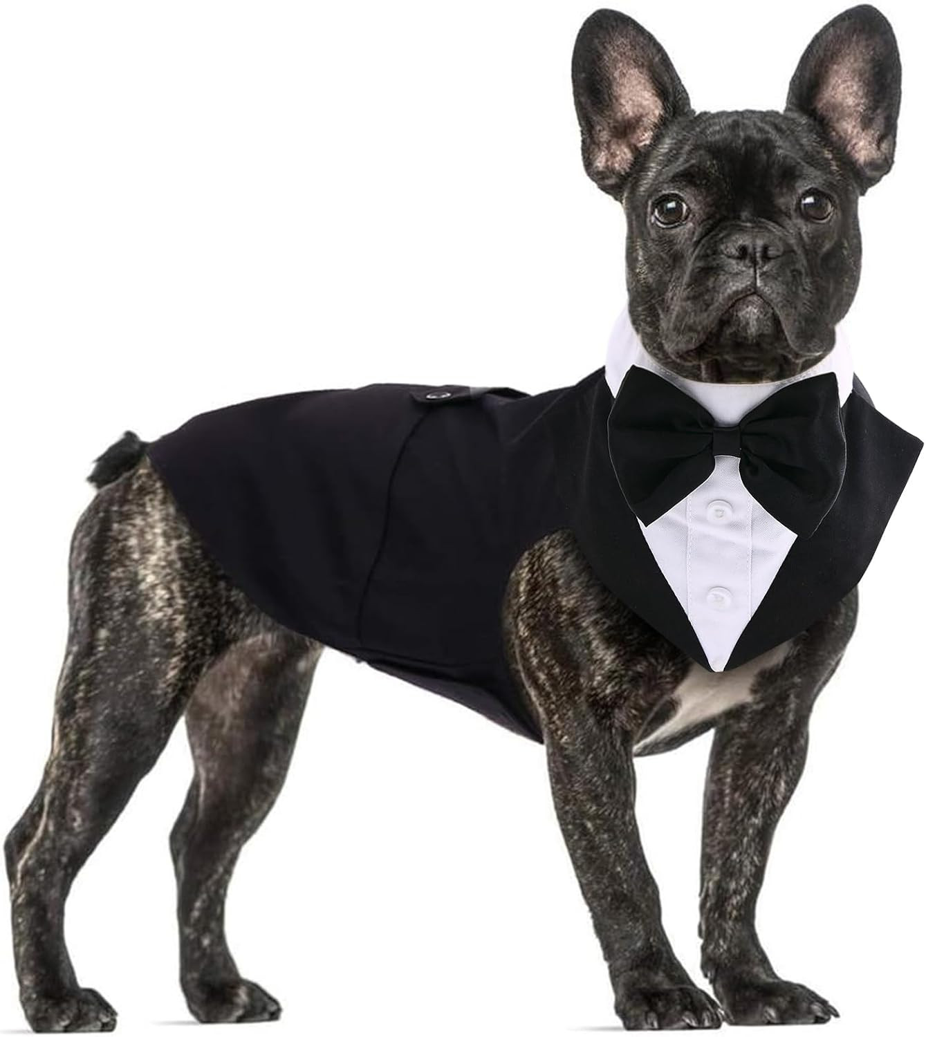 QBLEEV Tuxedo for Small Dogs, Suit and Bandana Set, Wedding Outfit With Bow Tie, Formal Tux Costu... | Amazon (US)