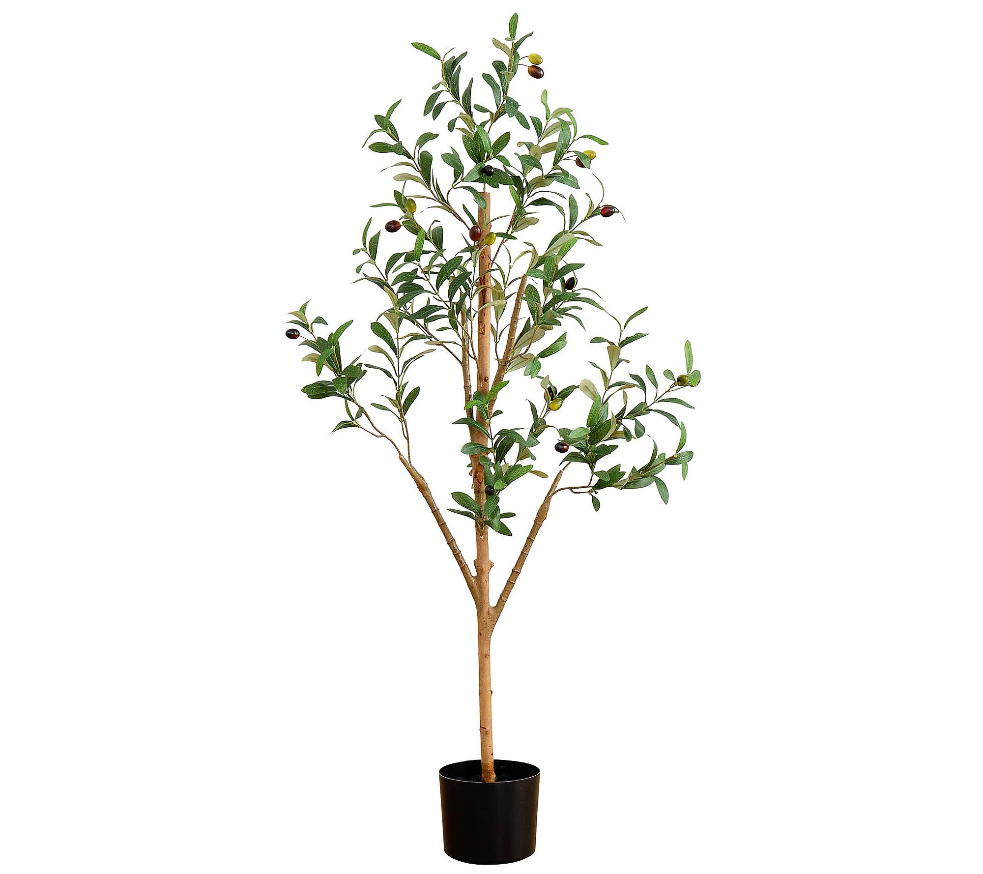 Nearly Natural 4' Artificial Olive Tree with Na ural Trunk | QVC