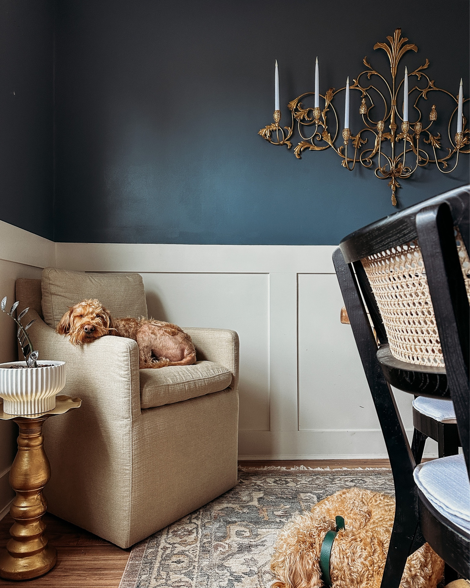 The coziest corner

Dining room, black cane dining chairs, wall candelabra, plant stand, upholstered swivel dining chair, @rugsusa vintage rug, dog collars

#LTKFind #LTKunder50 #LTKhome