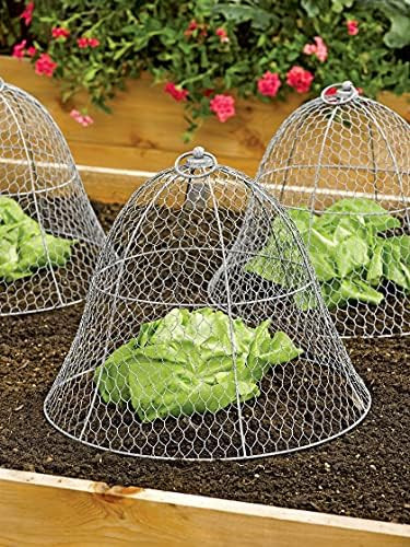 Amazon.com : Gardener's Supply Company Sturdy Chicken Wire Cloche Plant Protector & Cover | Sturd... | Amazon (US)