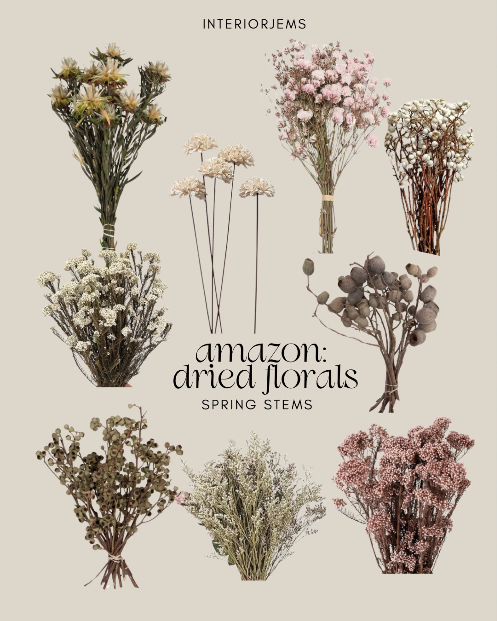 Dried floral stems from Amazon, preserved flowers, vase, filler, perfect for spring time. 

#LTKHome #LTKStyleTip #LTKSaleAlert