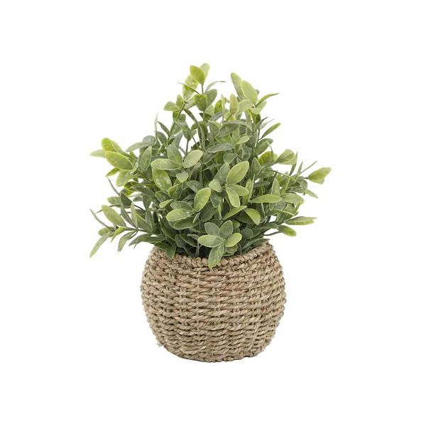 Andreana 11.75'' Faux Herbs Plant in Rattan Basket | Wayfair North America