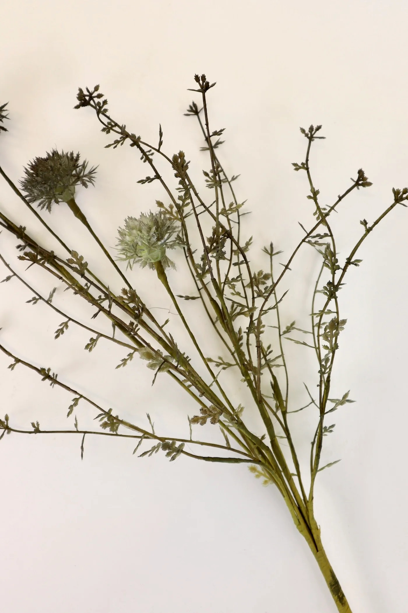 Melaleuca Dusk Stem - 20.5” | THELIFESTYLEDCO