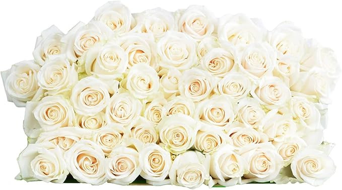 PICK YOUR OWN DELIVERY DATE | 50 White Roses Bulk Fresh Flowers | Designed by Arabella Bouquets |... | Amazon (US)