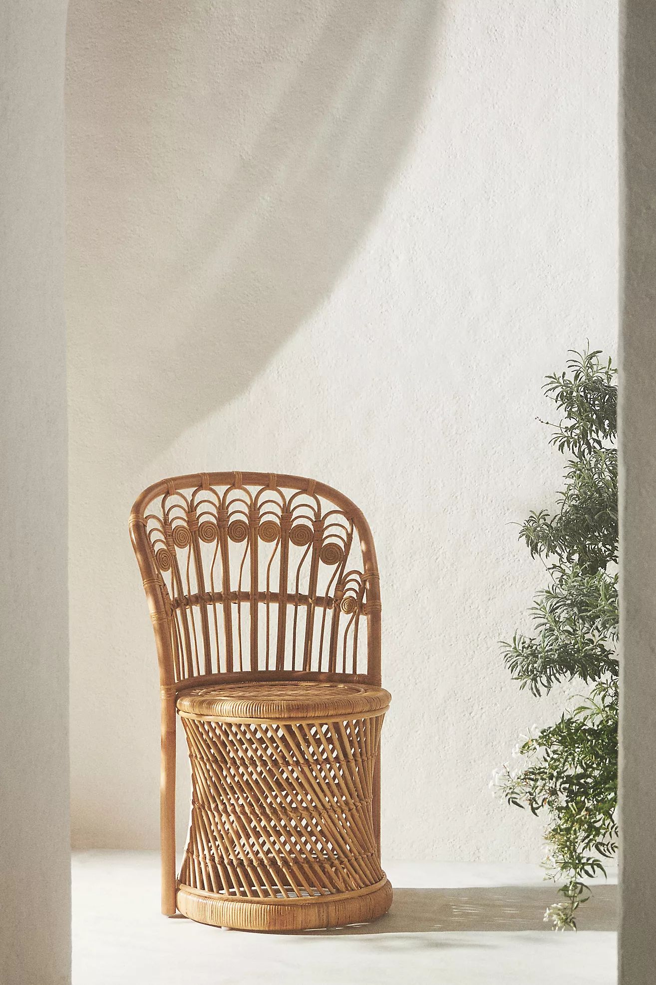 Peacock Rattan Dining Chairs, Set of 2 | Anthropologie (US)