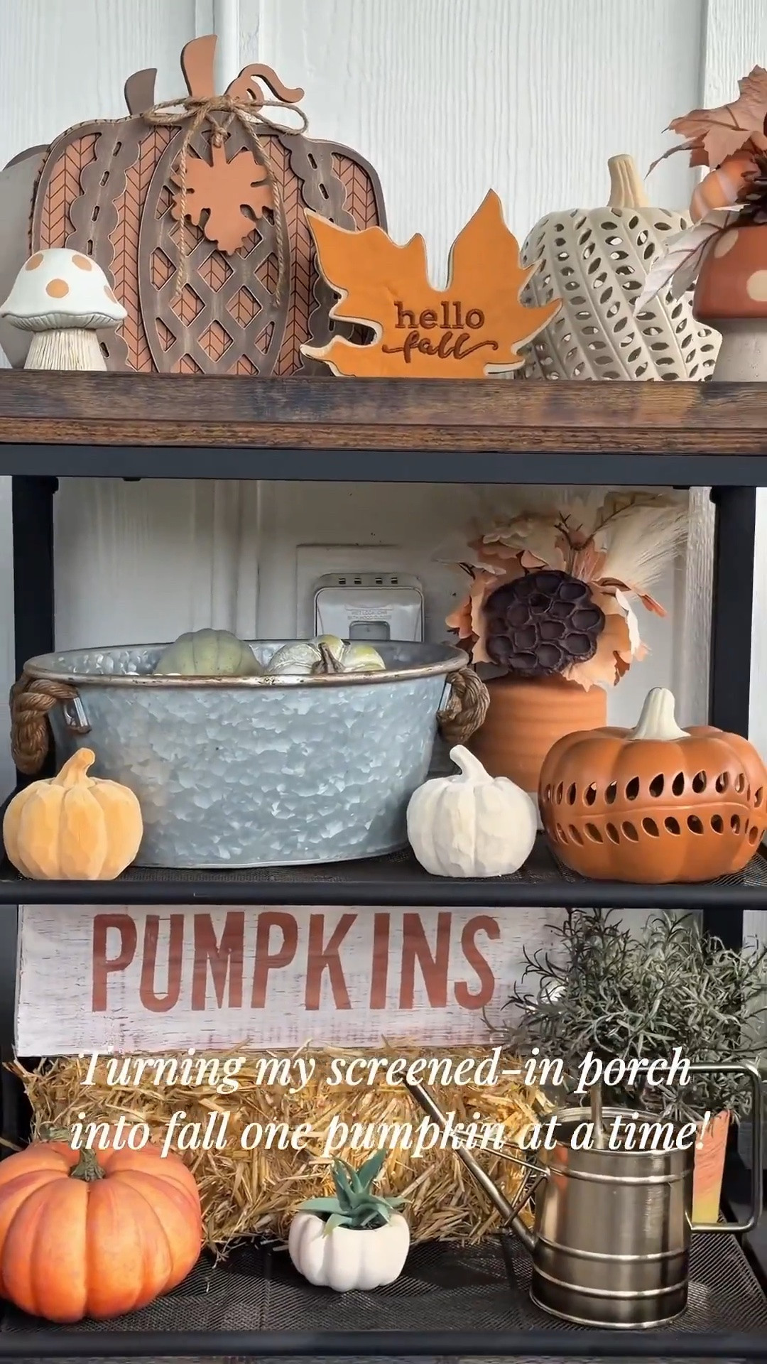 🍂 COME STYLE MY SCREENED-IN PORCH FOR FALL WITH ME! 🎃

Who says the front porch gets to have all the fun?! 😂 I spend WAY more time on our screened-in porch, so of course I had to give it a cozy little fall makeover too!

This bar cart is one of my favorite spots to decorate because it’s so easy to switch out with the seasons. A few pumpkins, some warm fall colors, and simple seasonal touches instantly make this space feel so much cozier for fall. 🎃🍁

And since this is basically my favorite spot to enjoy my morning coffee, I want it to feel just as festive as the rest of our home!

Of course, the cats also think the pumpkins are here specifically for them to knock over. 😹 Apparently they have VERY strong opinions about my fall porch decor.

Are you decorating your outdoor spaces for fall too, or do you keep all the pumpkins inside?! 🎃

#LTKSeasonal #LTKHome