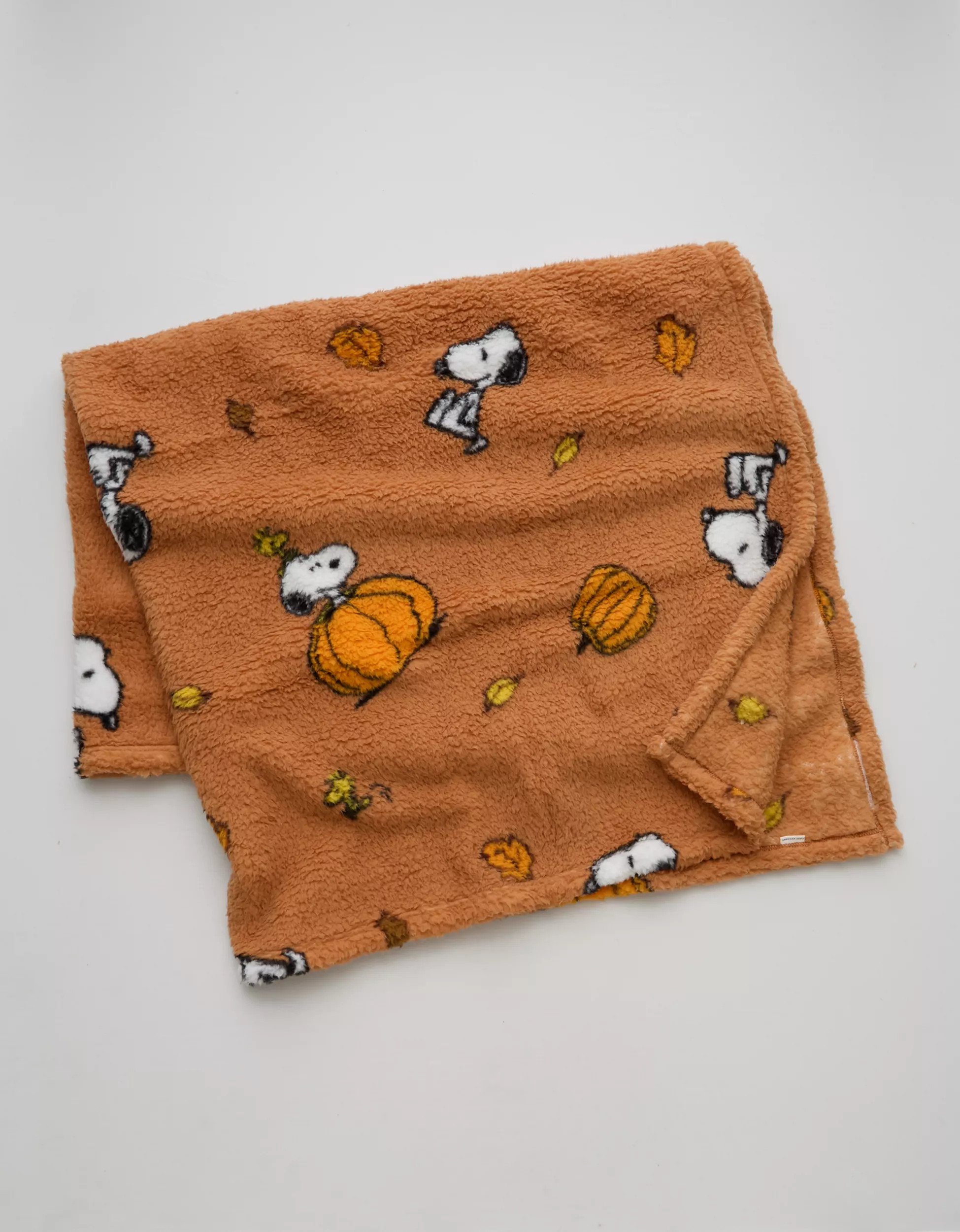 AE Peanuts Fall Pumpkin Blanket | American Eagle Outfitters (US & CA)