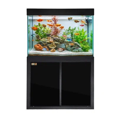 Rectangle Aquarium Tank | Wayfair North America
