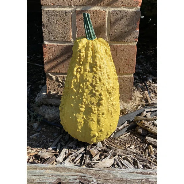 Omie Tall Gourd/Squash | Wayfair North America