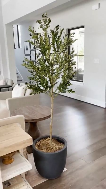 A pro tip on how to make your favorite faux tree look taller 😍 #founditonamazon 

#LTKhome #LTKstyletip #LTKVideo