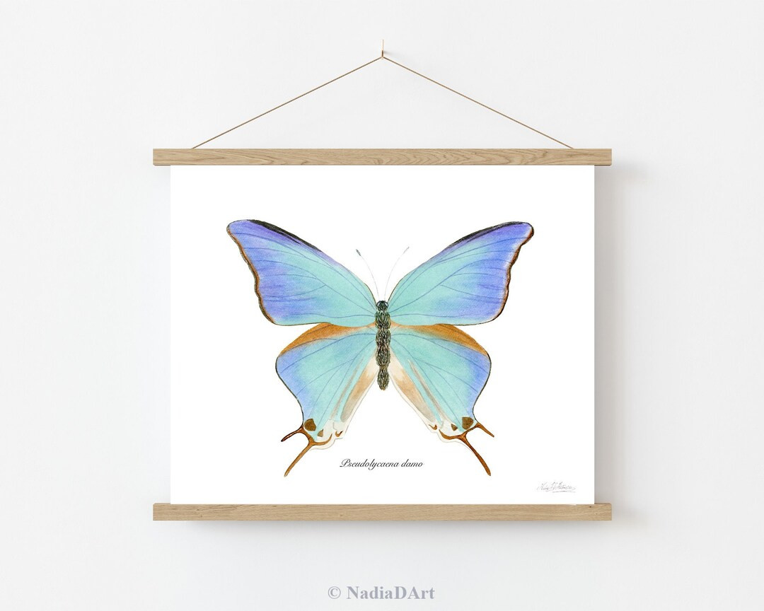 Teal Blue Butterfly Print, Blue Butterfly Wall Decor, Hairstreak Butterfly Poster, Butterfly Love... | Etsy (US)