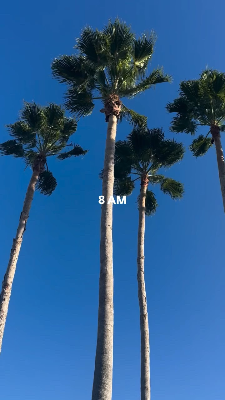 Sunday in my life @ at beach! Linking all my essentials! 

#LTKdayinmylife #LTKCyberWeek #LTKTravel