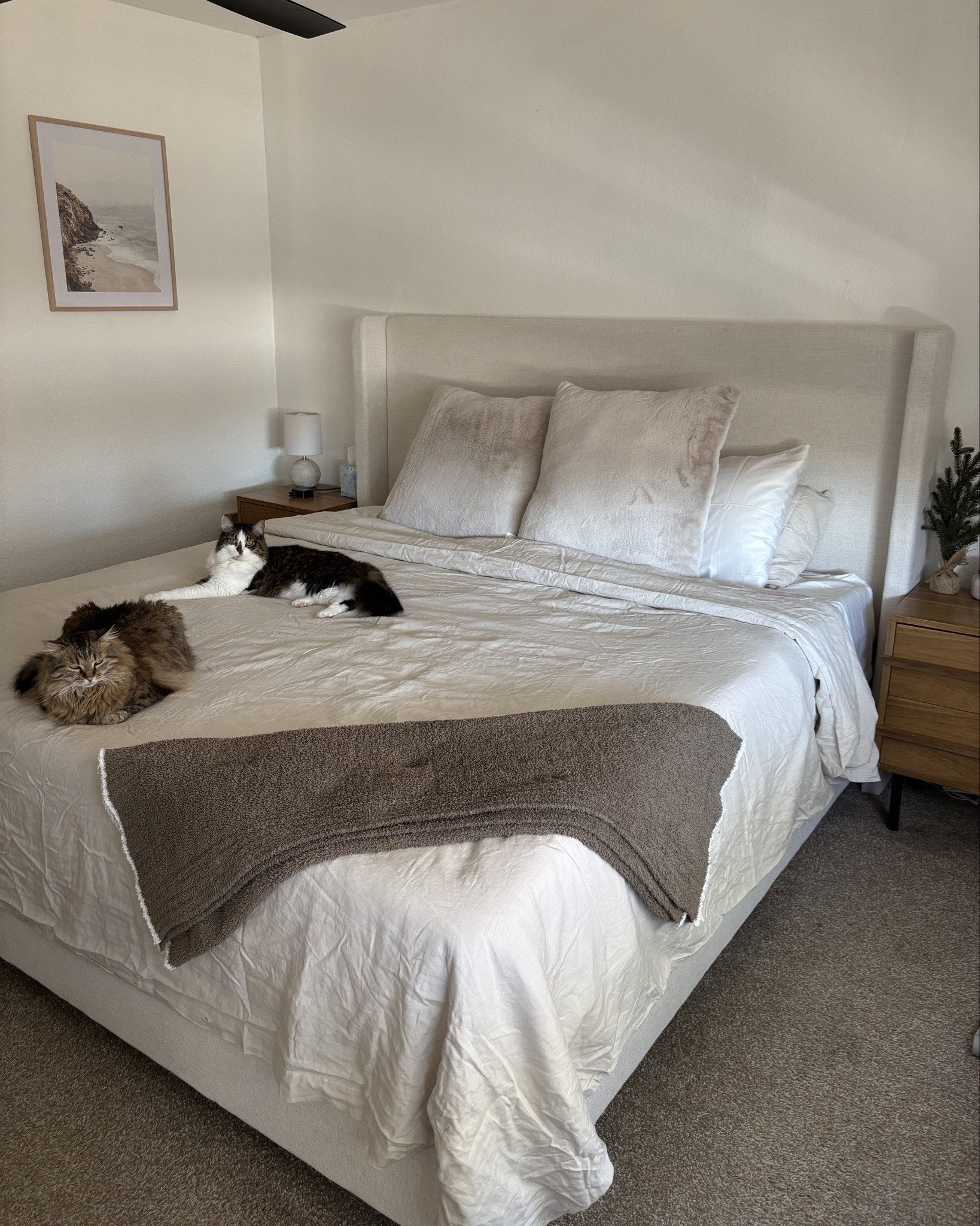 Upgraded to a king sized bed! So much more room for the whole fam 😺 

Use code “INFG-THERESAAKETTLER10” for 10% off your first order from Quince!

#LTKFamily #LTKHome