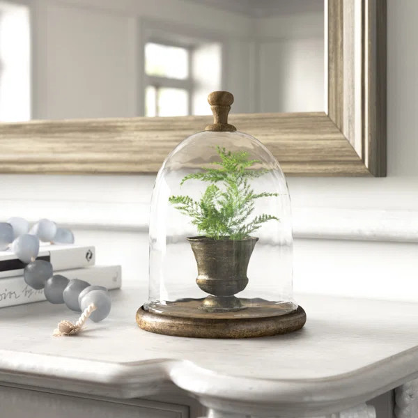 Pearson Farmhouse Dome Shaped Wood and Glass Cloche | Wayfair Professional