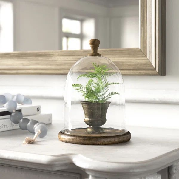 Pearson Farmhouse Dome Shaped Wood and Glass Cloche | Wayfair North America