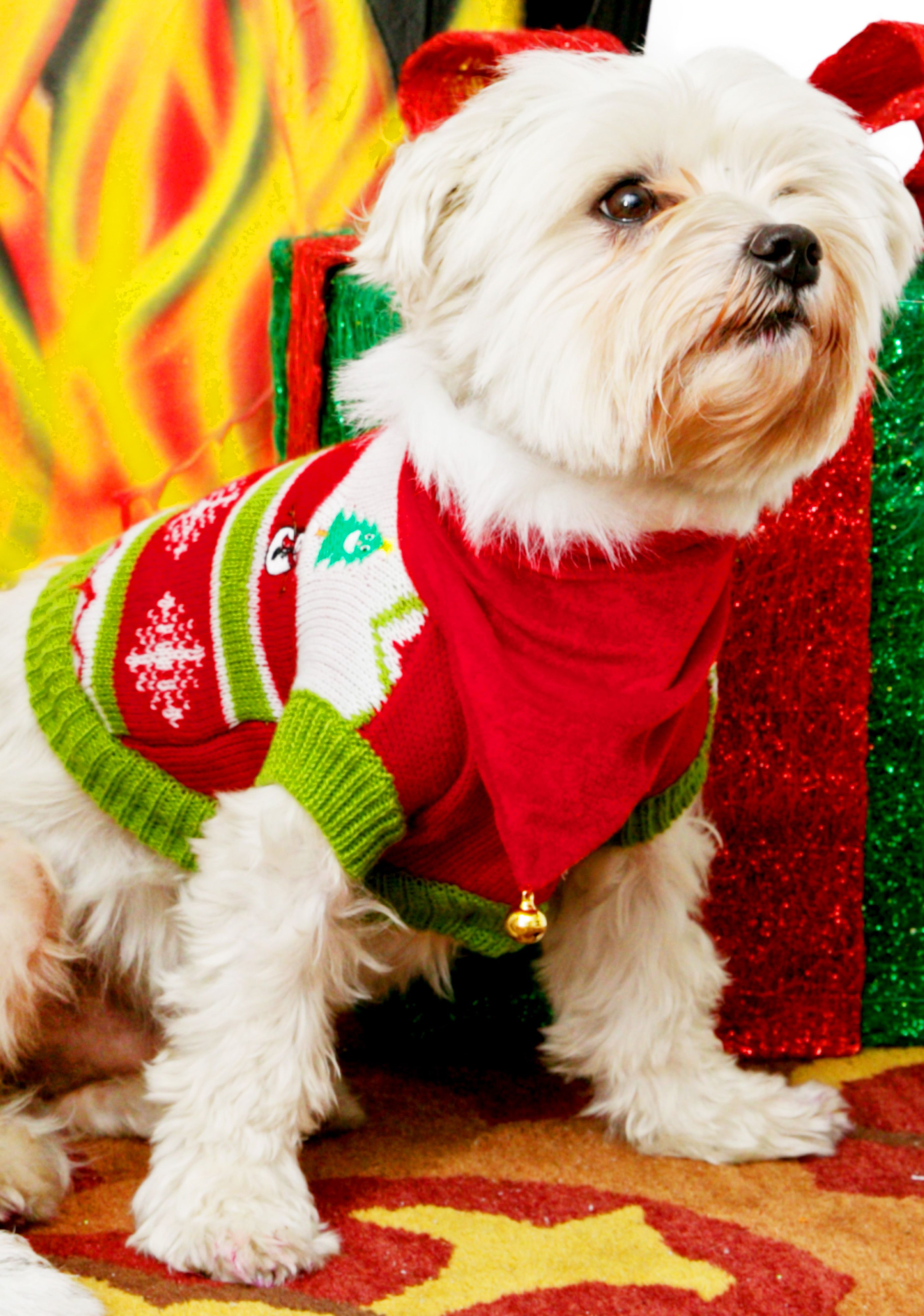Ugly Dog Christmas Sweater | Dolls Kill