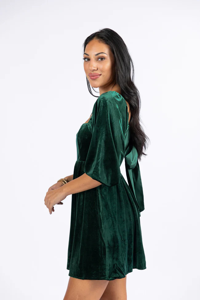 Evergreen Beauty Velvet Dress Macy Blackwell X Pink Lily | Pink Lily