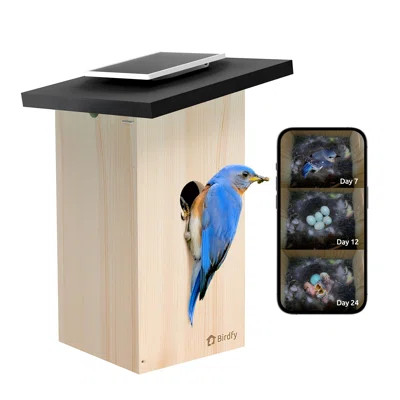Birdfy Smart Bird Houses for Outside Solar Powered, 1080P HD Live View Bird House with Camera, Perfect Viewing Bird Nesting and Hatching, Bird Feeder | Wayfair North America