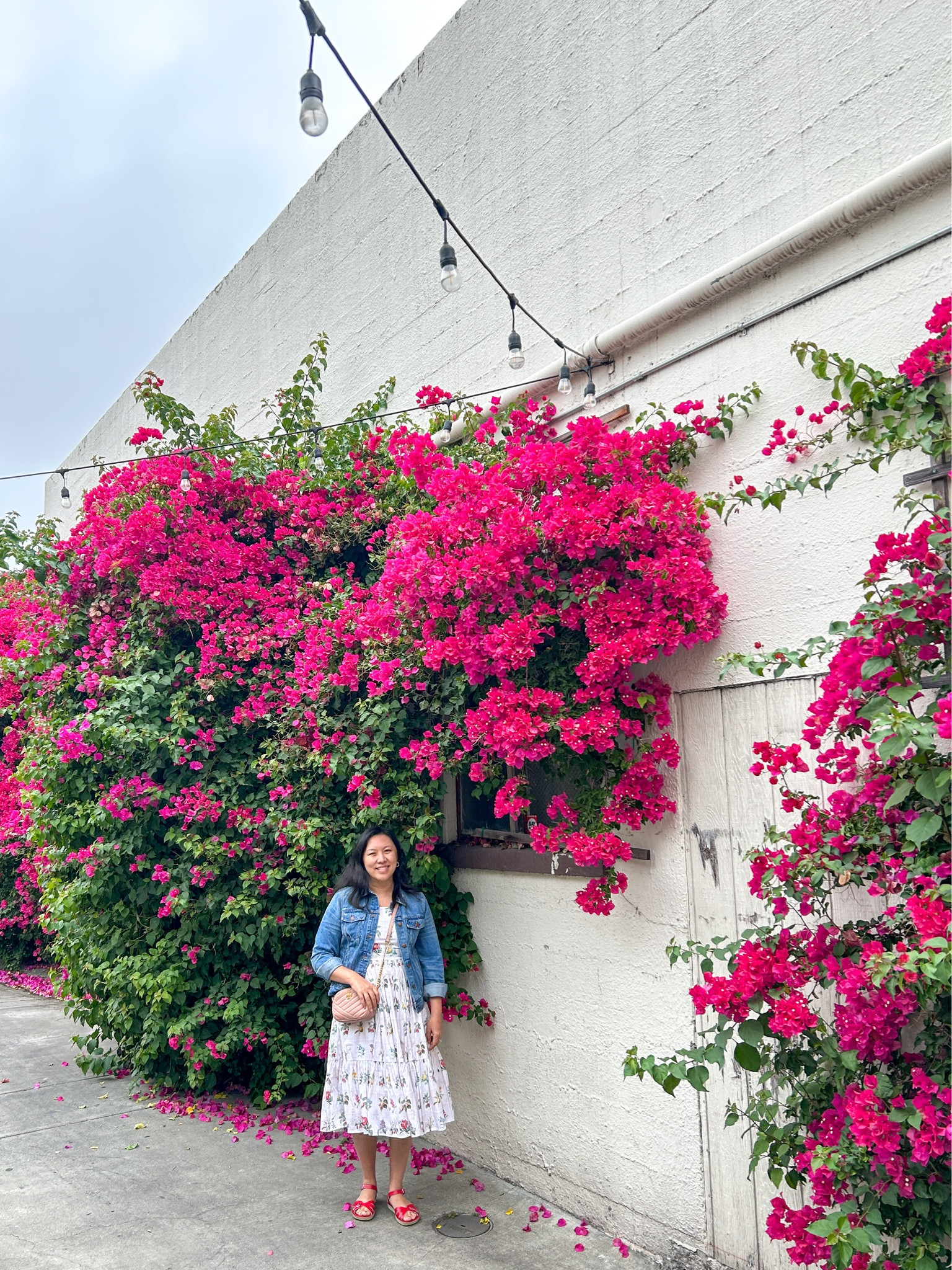 Sonoma City. My red sandals are from Salt Water Sandals and they are so comfortable. 

#LTKshoecrush #LTKtravel #LTKover40