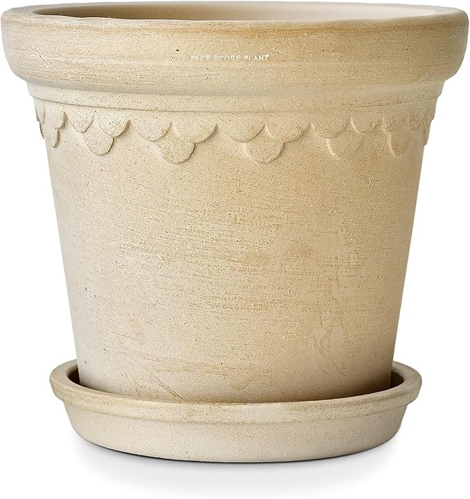 10 Inch White Terracotta Planter Unglazed Natural Clay Pots with Drainage Hole Hand-Crafted Weath... | Amazon (US)