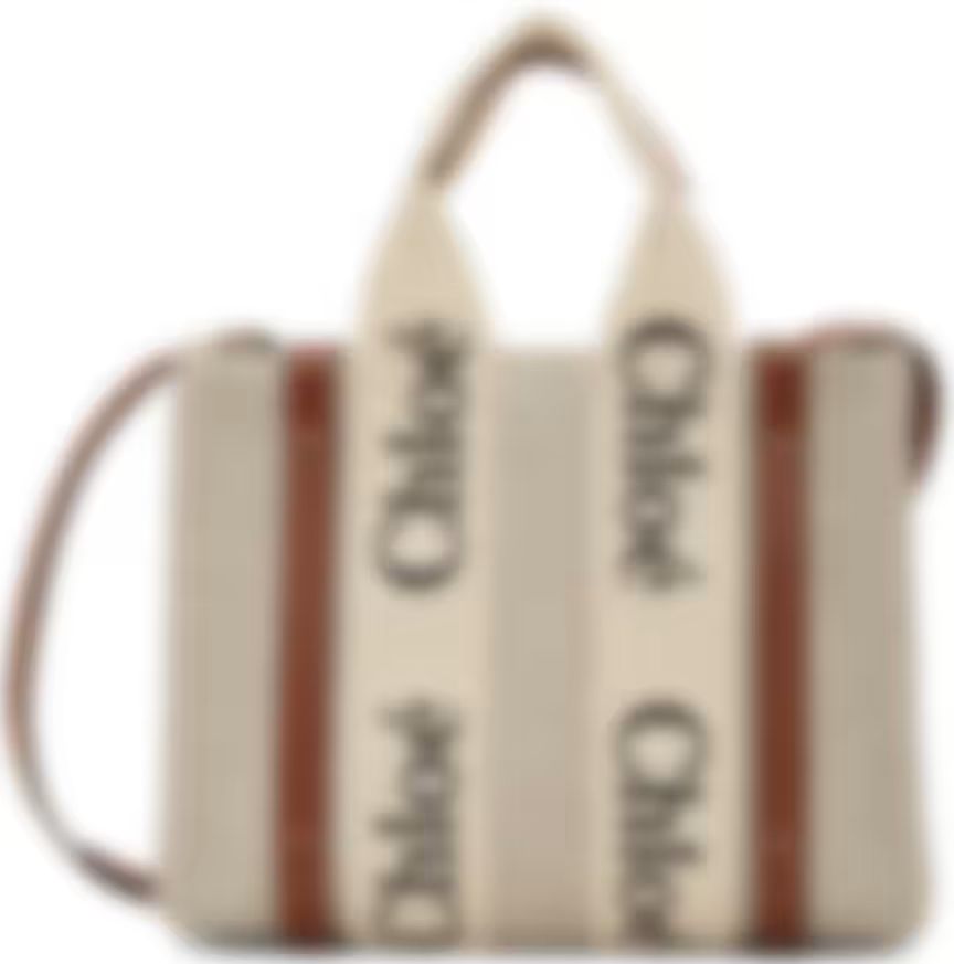 Off-White & Brown Small Woody Tote | SSENSE