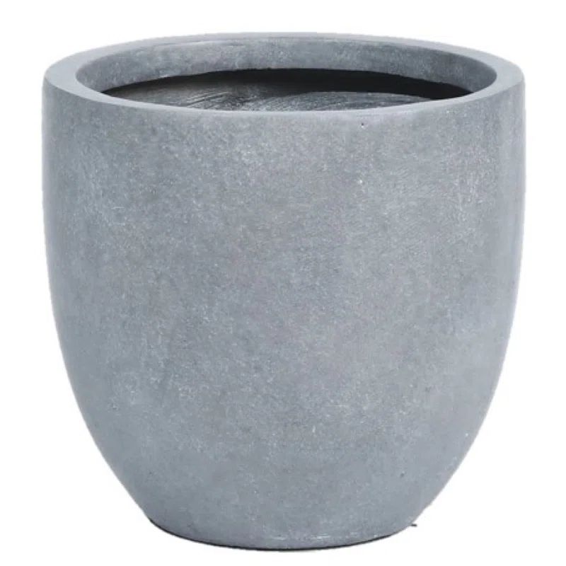 Acushnet Round Indoor/Outdoor Modern Pot Planter with Drainage Hole | Wayfair North America