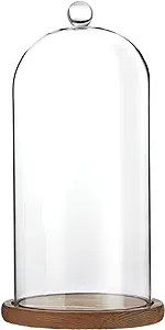 Glass Cloche Dome Bell Jar Display Case with Wooden Base for Plants, Collectibles (5.1x10 In) | Amazon (US)