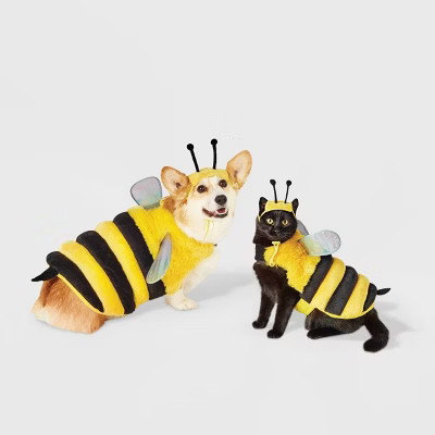 Bumble Bee Dog and Cat Costume - Hyde & EEK! Boutique™ | Target