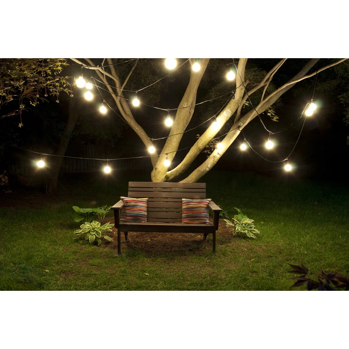 $145.99 | Wayfair North America