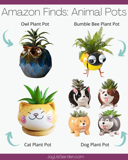These animal pots from Amazon are super fun and whimsical. Show off a bit of personality by putting your favorite succulent or indoor plant in these cute pots. 

#plants #indoorplants  #plantlover  #houseplantclub #plant #plantlife #indoorjungle #plantmom #plantaddict #plantlove #plantpots #planters #containers #animalplanters #amazon #amazonfinds

#LTKhome #LTKunder50