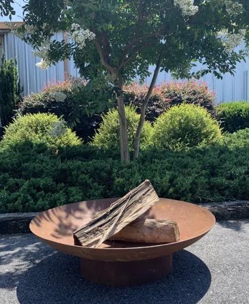 Foundry Select Song Steel Wood Burning Fire Pit | Wayfair North America
