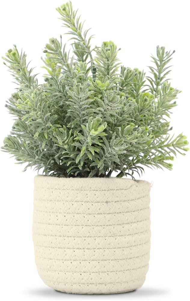 Hopewood Small Artificial Plants Eucalyptus with a Weave Basket Potted Plants for Home Office Des... | Amazon (US)