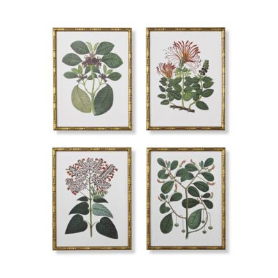 Bamboo Botanicals Giclée Prints | Frontgate