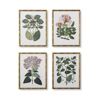 Bamboo Botanicals Giclée Prints | Frontgate | Frontgate