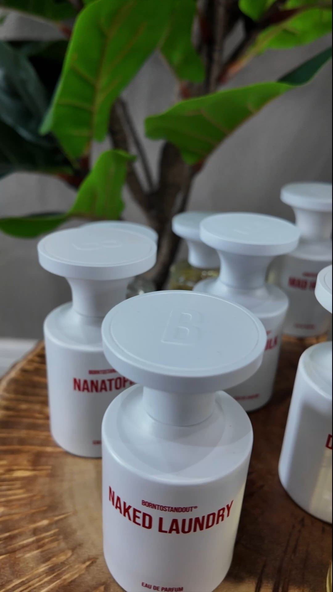 Borntostandout is one of those brands that I love to try out! They are not safe blind buys, but they are definitely interesting. Sephora is now carrying some of these fragrances, so I figured I would share a quick ranking of the 12 that I have in my collection.

All fragrances are linked here: 
You can also shop via the link in bio (Shop My Posts) or comment BTSO for me to send you the links!

#LTKselfcare #LTKOver40 #LTKBeauty