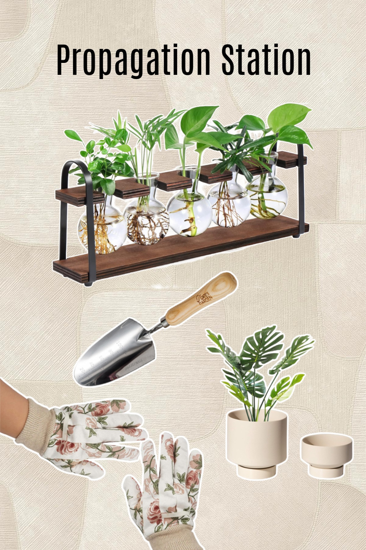 Because who doesn’t love making more houseplants out of the ones you have ✨ 

#LTKHome #LTKSeasonal #LTKFindsUnder50