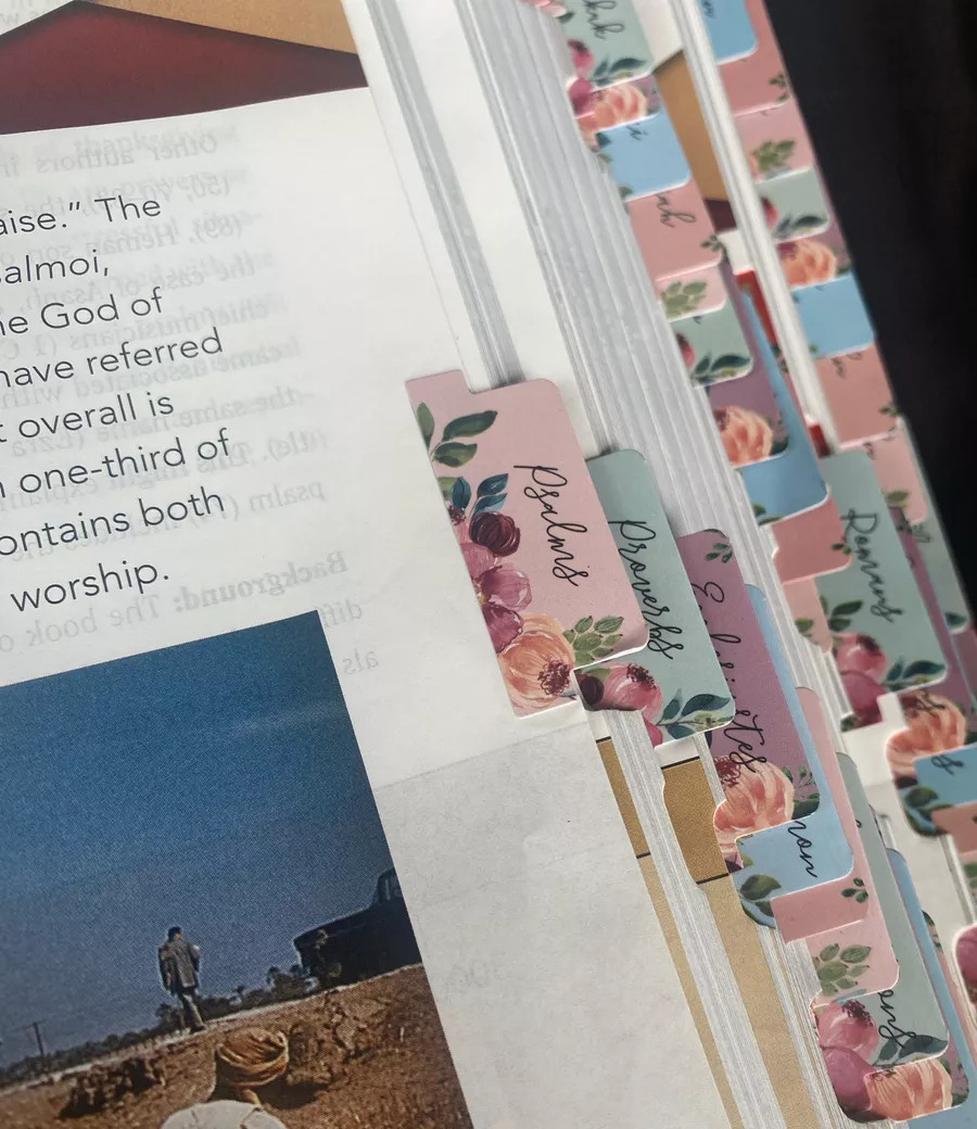 If you’re looking to make Bible Study a bit easier, or…just to make your Bible cuter 🤣- these floral Bible tabs are my absolute FAVE!  

 #LTKMothersDay #LTKdayinmylife #LTKmomlife